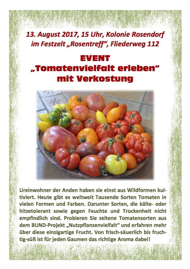 Tomatenvielfalt erleben Vereinigte Steintormasch e.V.